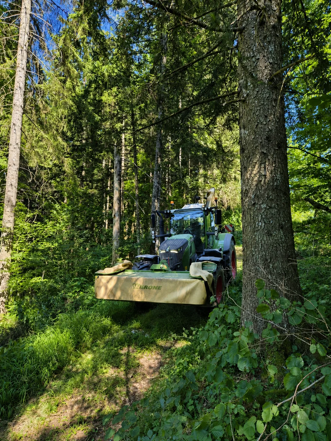 Traktor s kosilnico pri delu na gozdnem terenu
