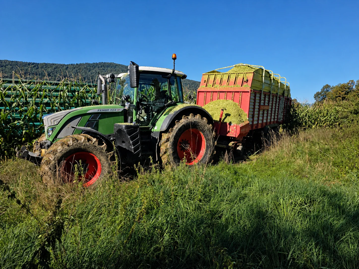 Traktor Fendt s prikolico pri spravilu silaže