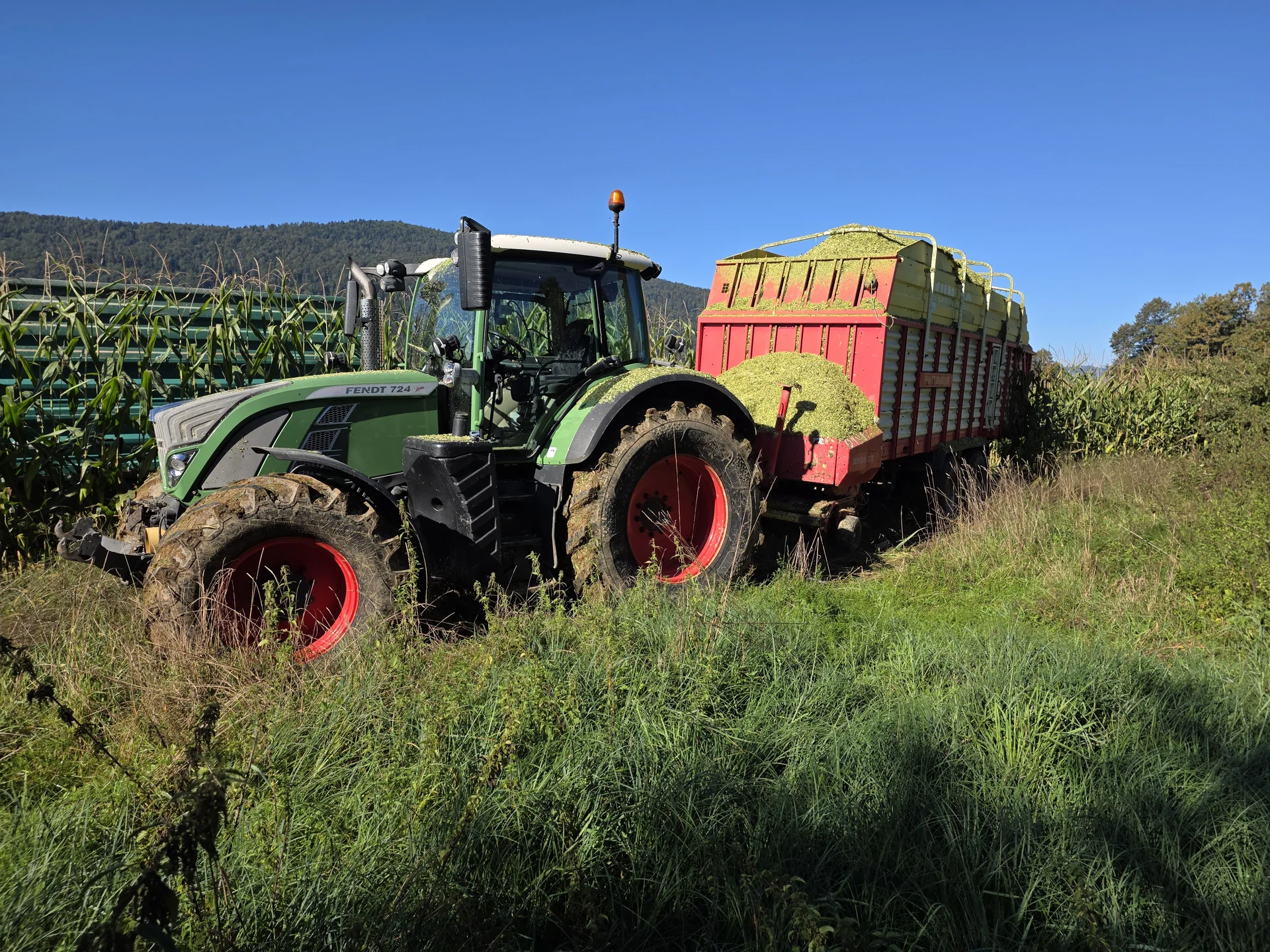 Traktor s prikolico pri spravilu krme